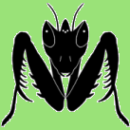 Web logo Mantis sm greenl